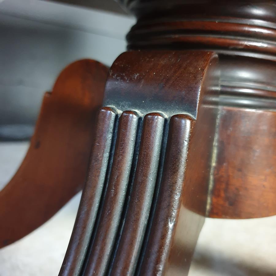 Mahogany Canterbury