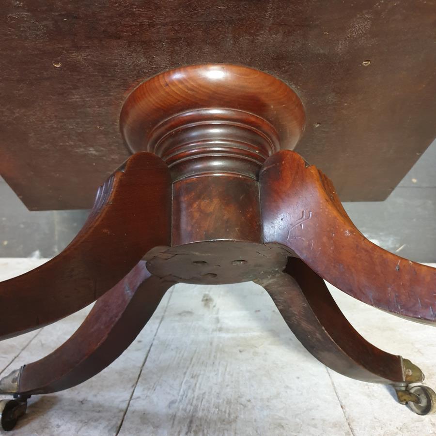 Mahogany Canterbury