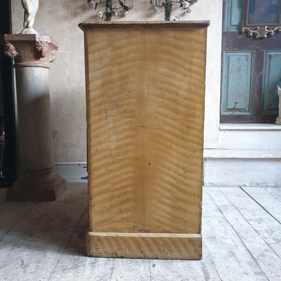 19th Century Painted Chest Of Drawers