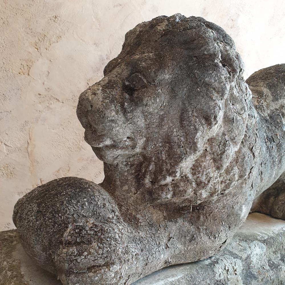 Lion On Plinth
