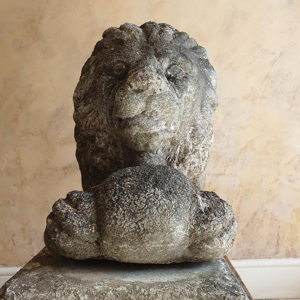 Lion On Plinth