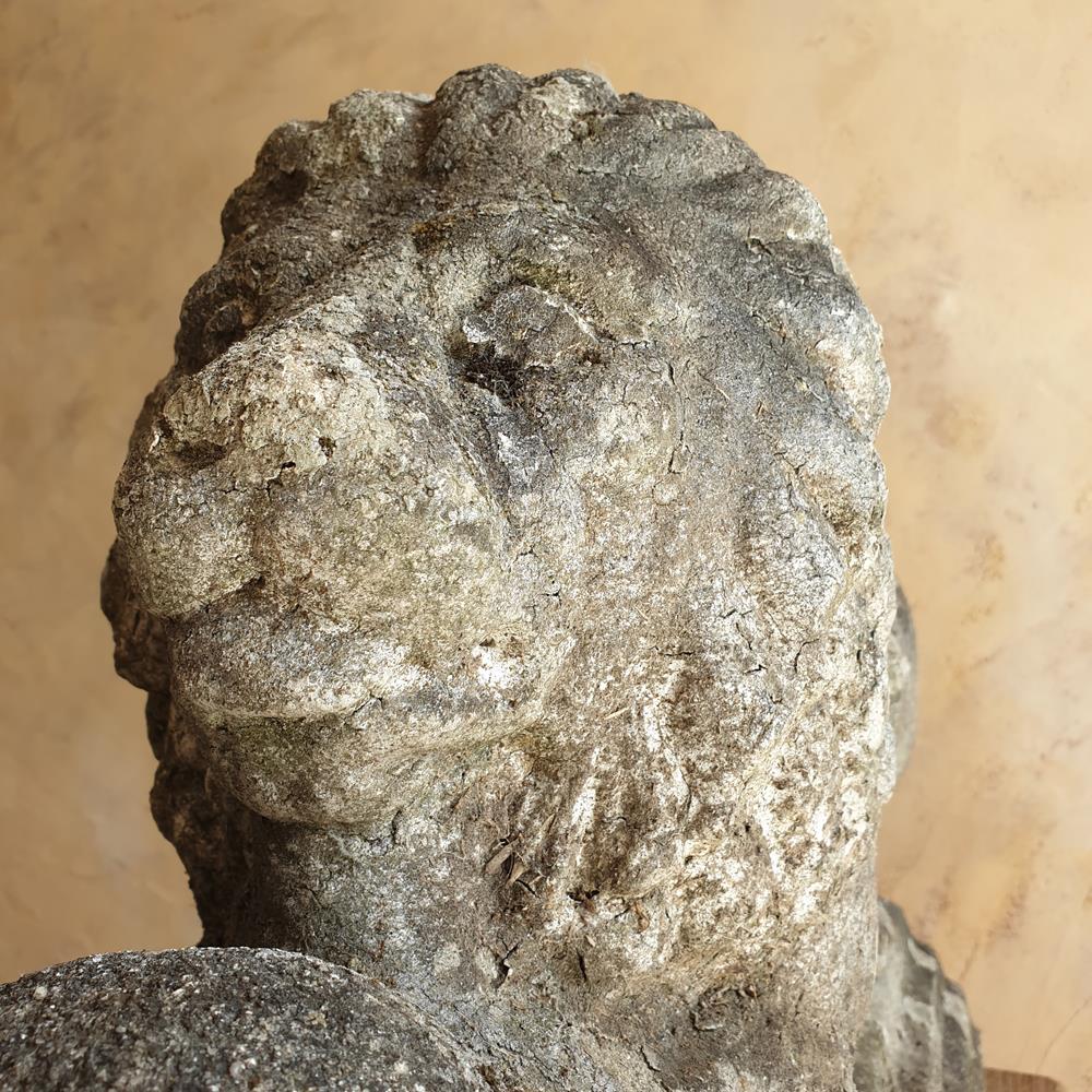 Lion On Plinth