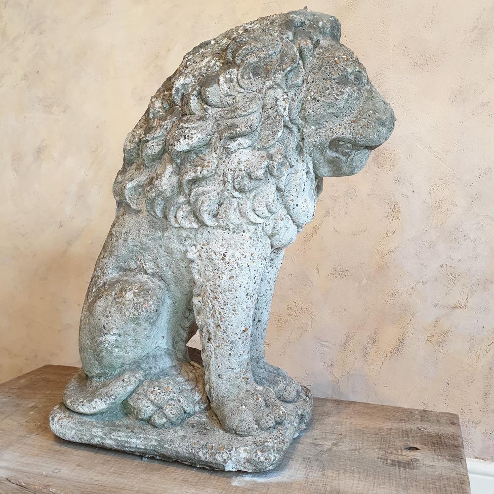 Seated Lion