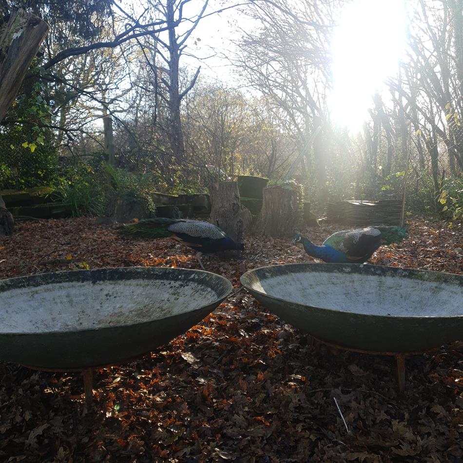 A Pair Of Modernist Planters
