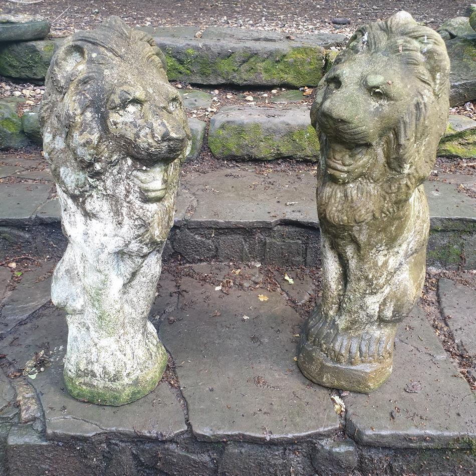 A Pair Of Sitting Lions