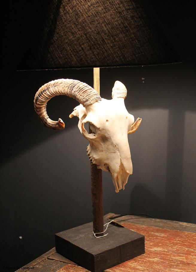 Ram Head Skull Lamp