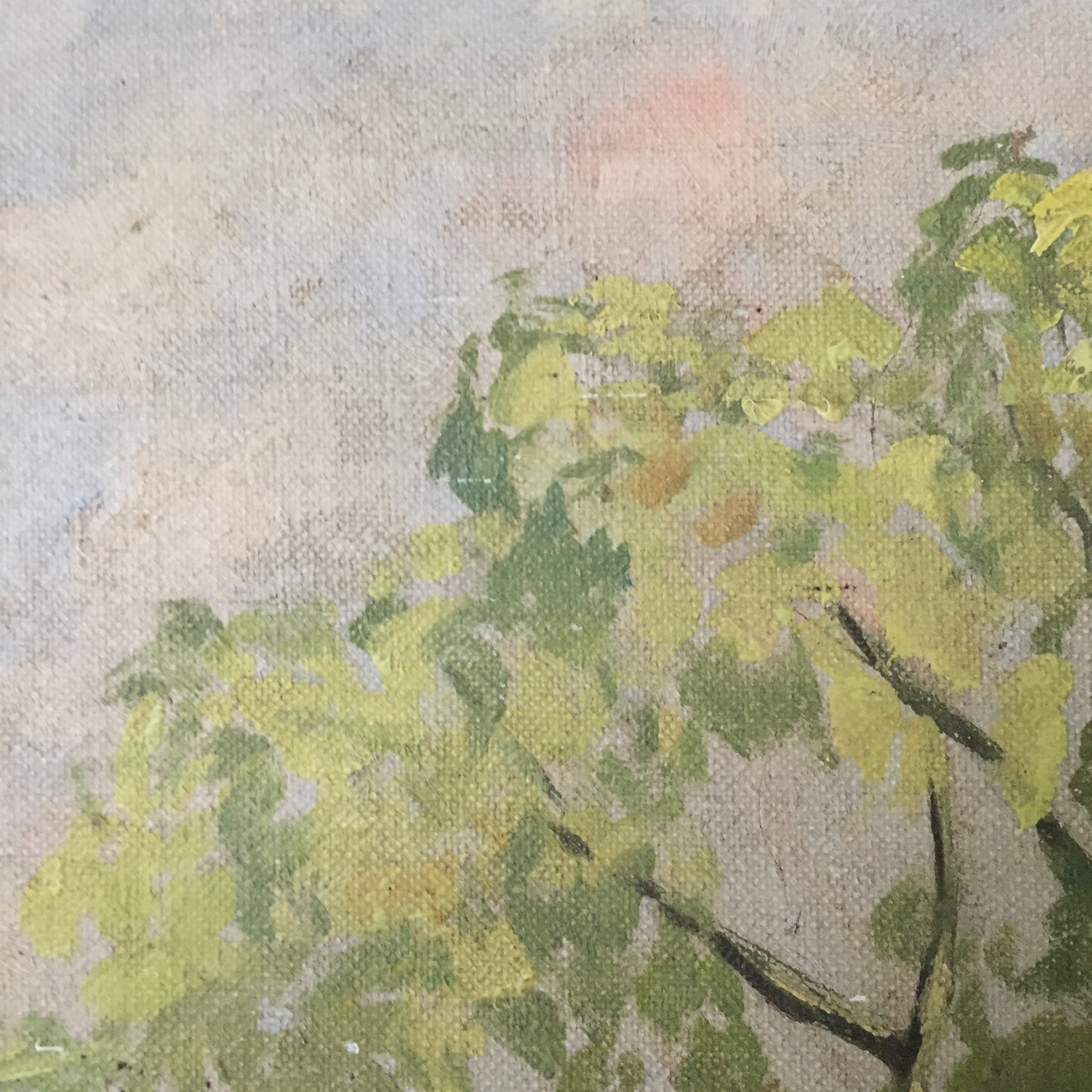 Willow Tree Oil On Canvas