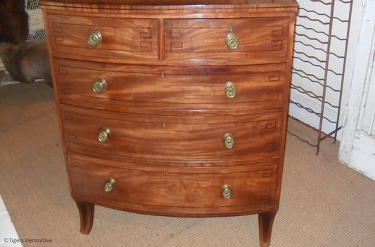 19th Century Regency Mahogany Chest-of-Drawers