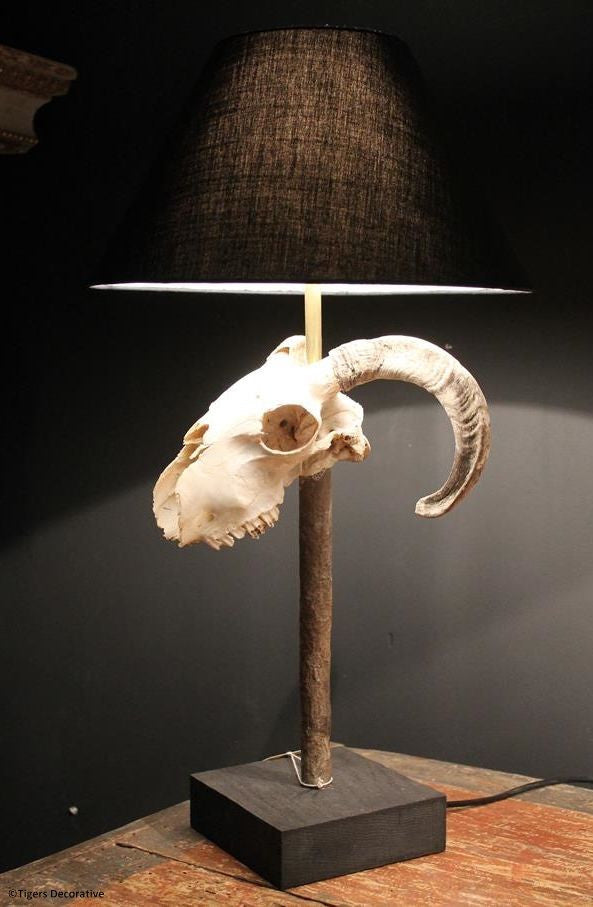 Ram Head Skull Lamp