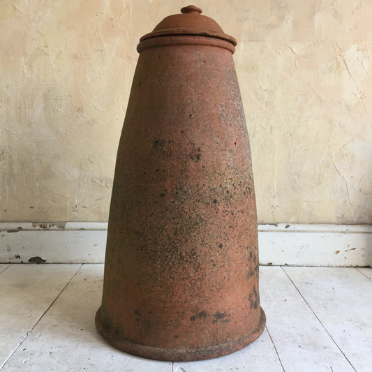 Terracotta Rhubarb Forcer