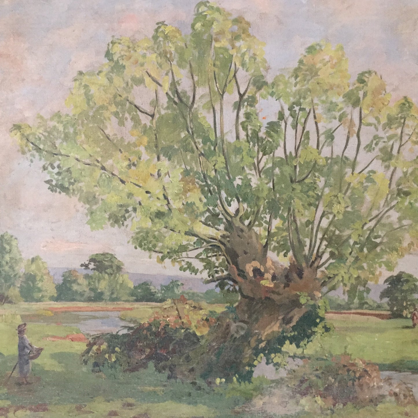 Willow Tree Oil On Canvas