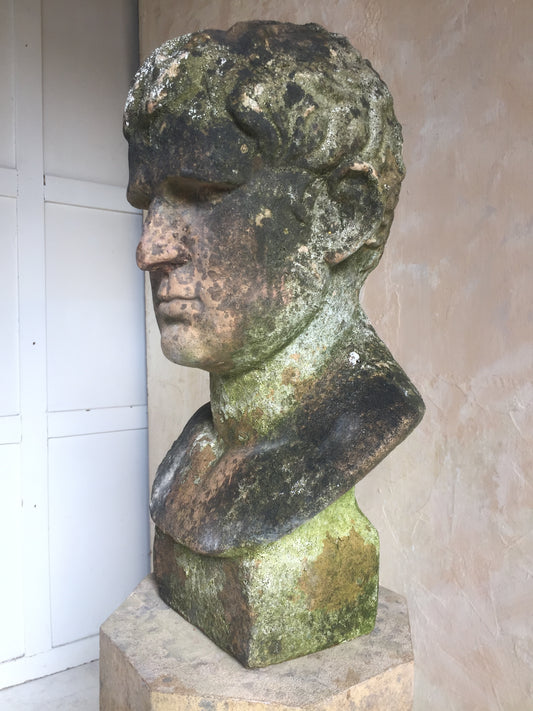 Terracotta Bust Of Brutus