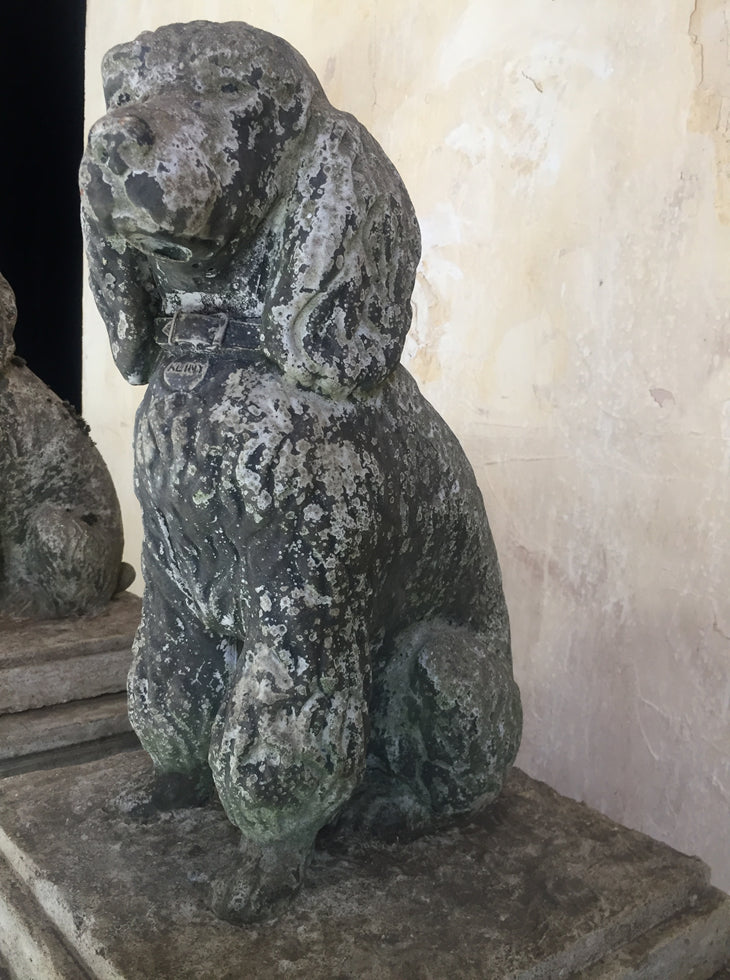 Composition Poodles