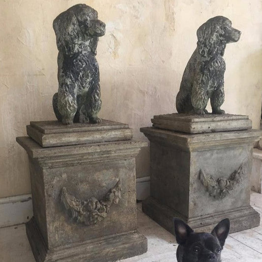 Composition Poodles