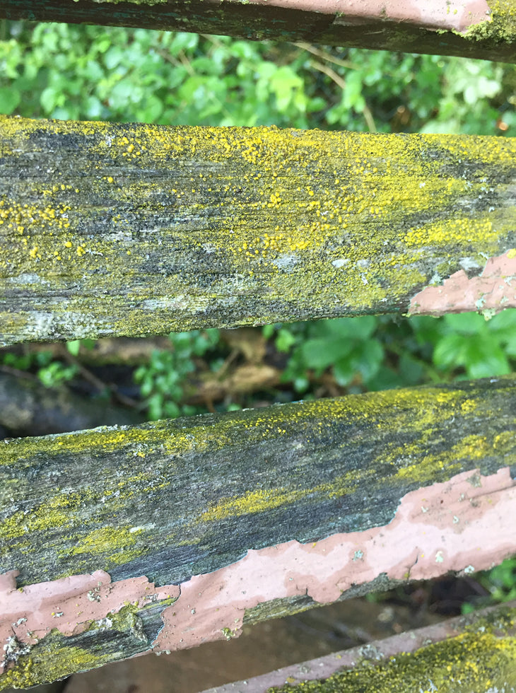 Edwardian Garden Bench
