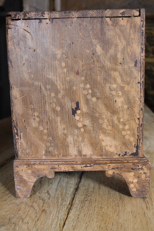 19th Century Specimen - Seed Chest