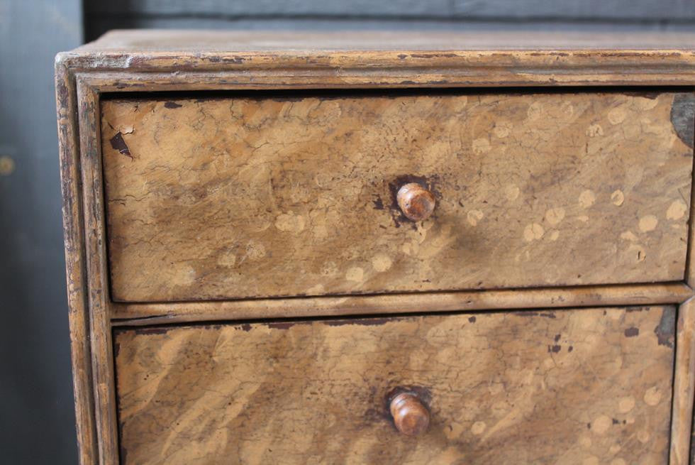 19th Century Specimen - Seed Chest