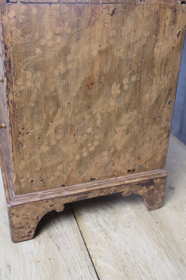 19th Century Specimen - Seed Chest