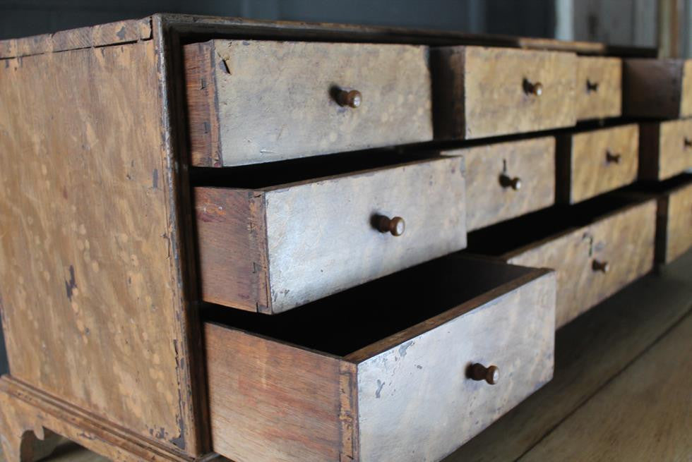 19th Century Specimen - Seed Chest