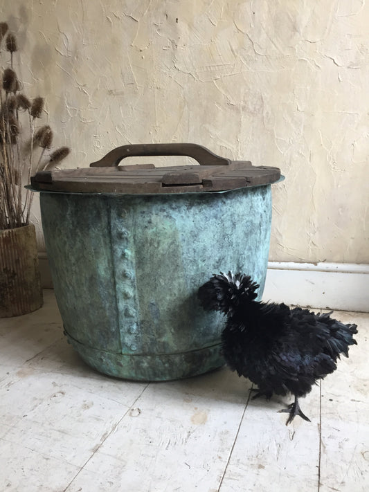 Copper Boiler