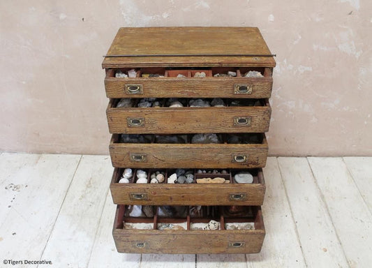 19th Century Painted Specimen Chest, With Collection