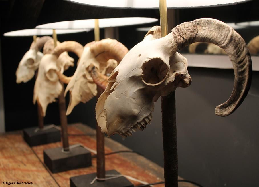 Ram Head Skull Lamp