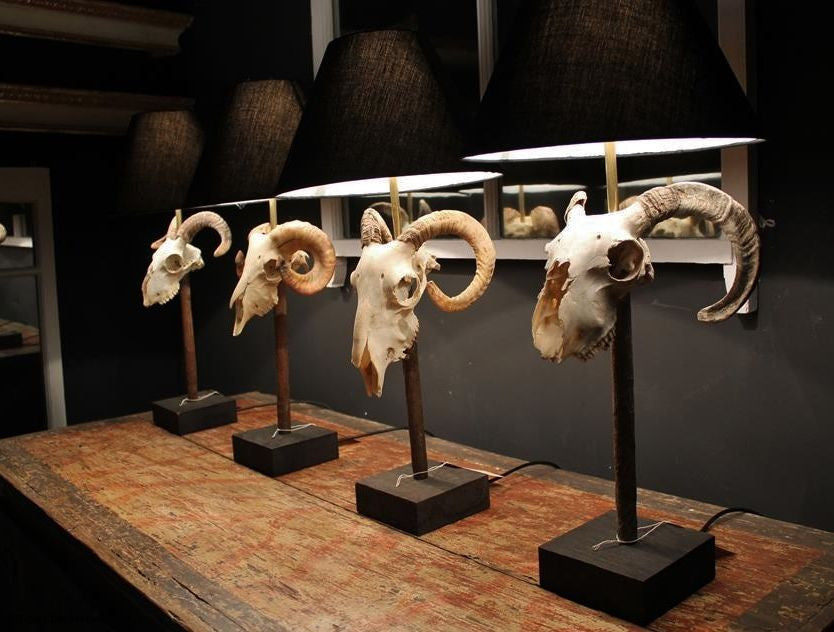 Ram Head Skull Lamp