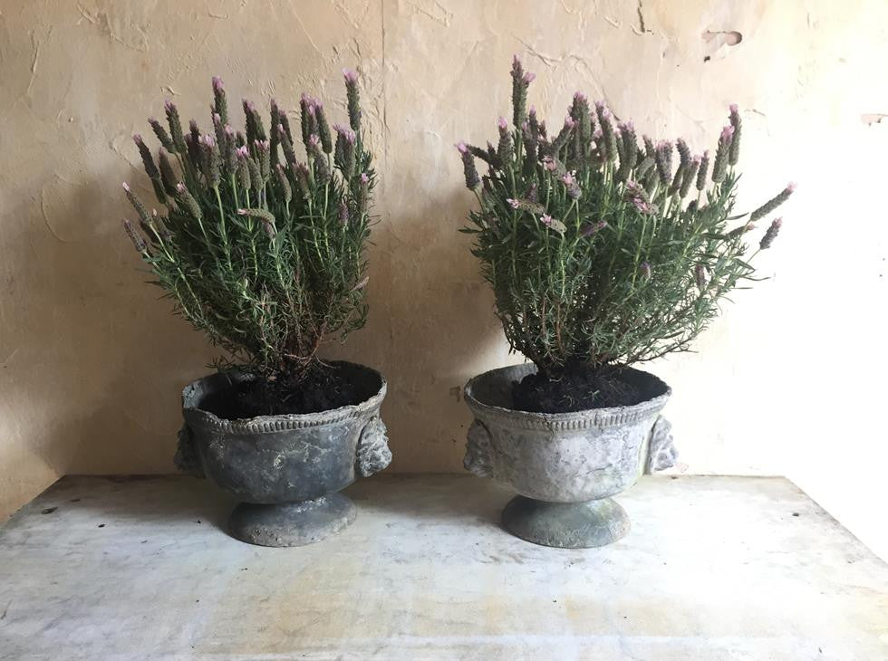 Pair Of Lead Urns