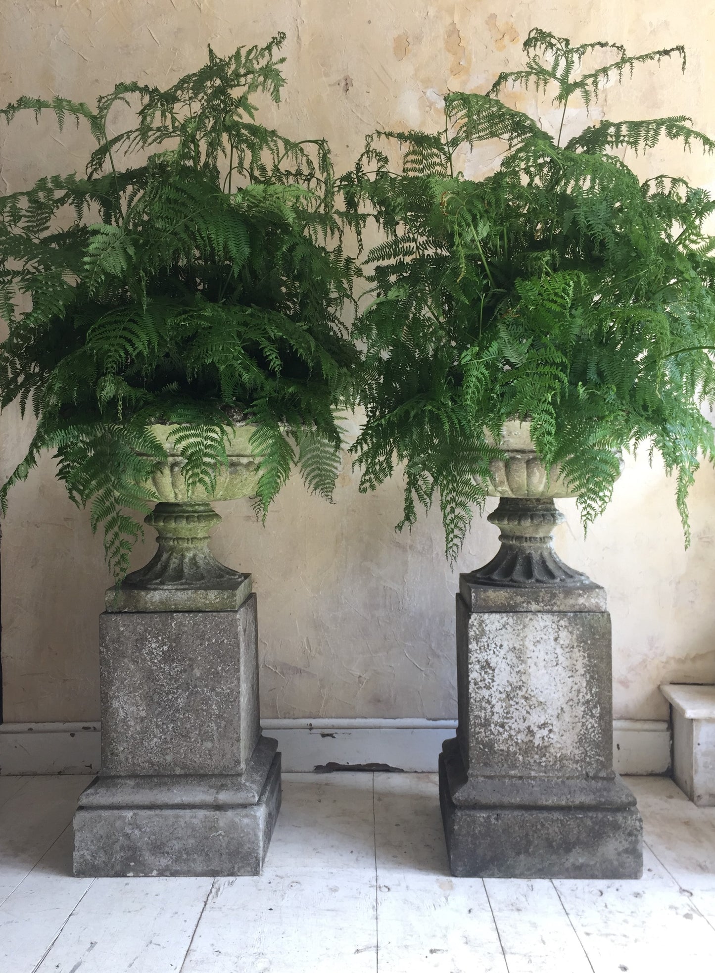 Pair of Urns On Plinths