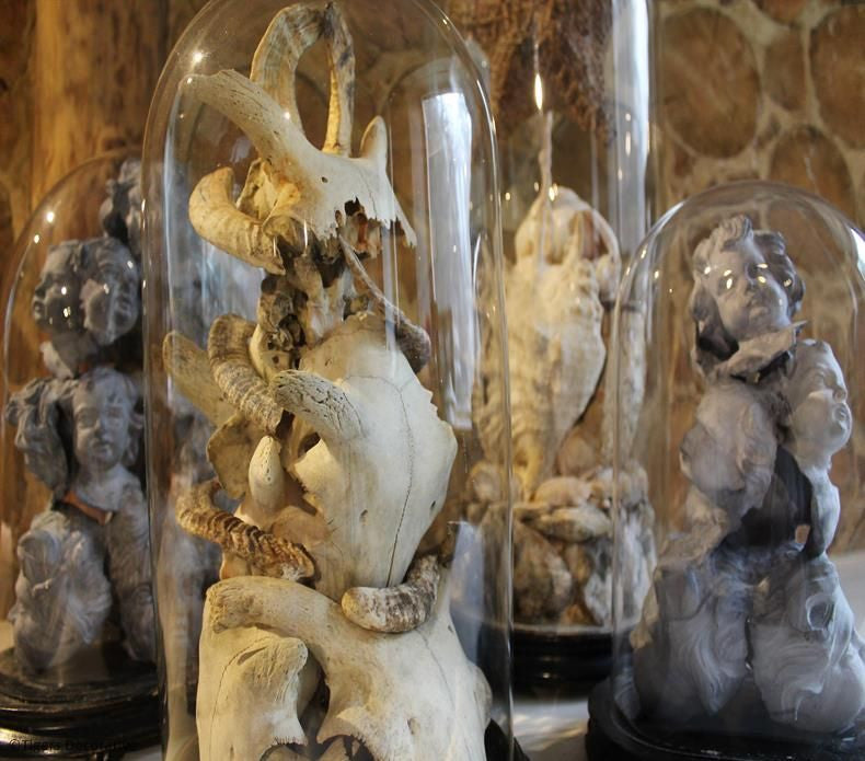 Victorian Glass Dome With Skulls